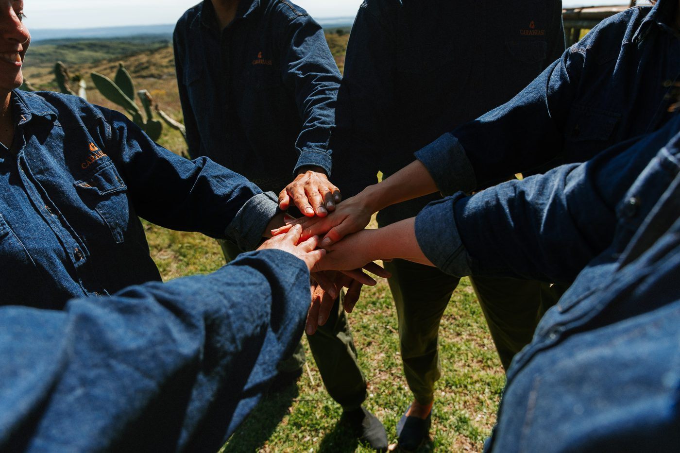 The team's hands, all together