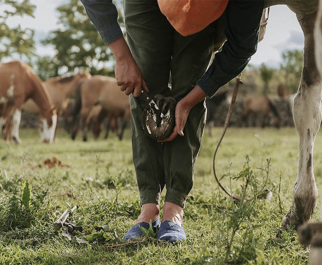 Caring for the horses that live on Carahuasi's land